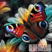 Pfauenauge by CreatiVart mit 310 Farben