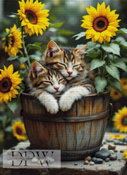 Maikatzen by QN, mit 200 Farben