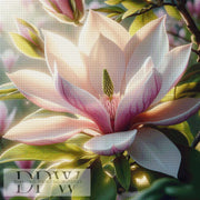 SunshineのMagnolie、240色入り