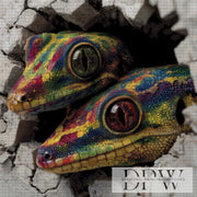 The Curious Lizards by QN with 200 colors
