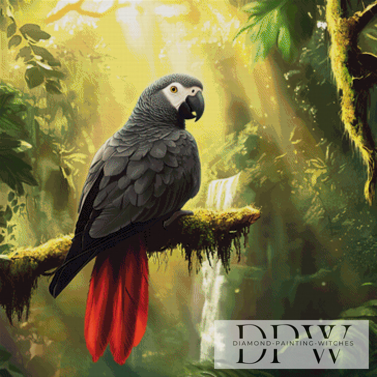 African Grey Parrot by Lisa Morgan with 150 colors