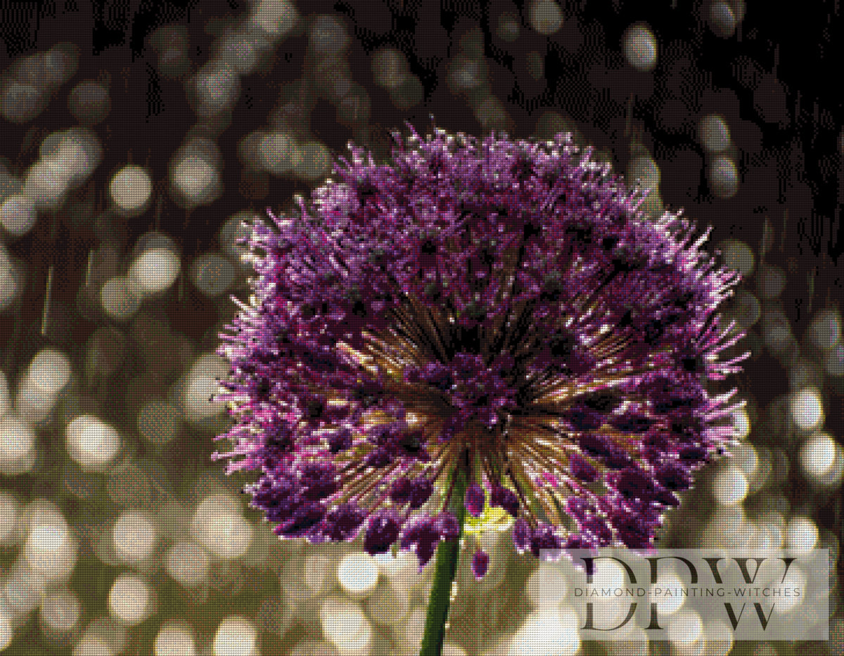 Allium by theA.art mit 170 Farben