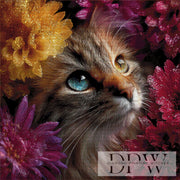 Cat hideout by theA.art with 222 colors