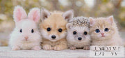 theA.artによる130色の「動物の友達」