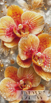 CleoDora作「Golden Orchid Bloom」（200色）