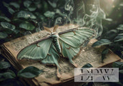 Lunamoth by Ines mit 100 Farben
