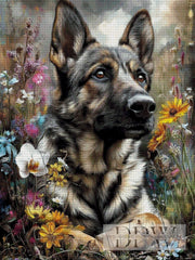 Rex by CleoDora mit 240 Farben