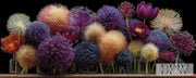 Alliumtraum by theA.art with 230 colors
