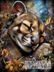 CleoDora作「Fossa III」（260色）