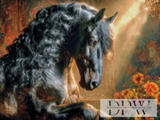 Black Beauty Friese by Casalla Vendetta mit 220 Farben