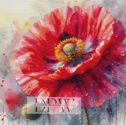 Mohn by Moonlight, mit 240 Farben