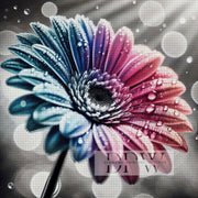 Wonder Gerbera by Sunshine, with 220 colors